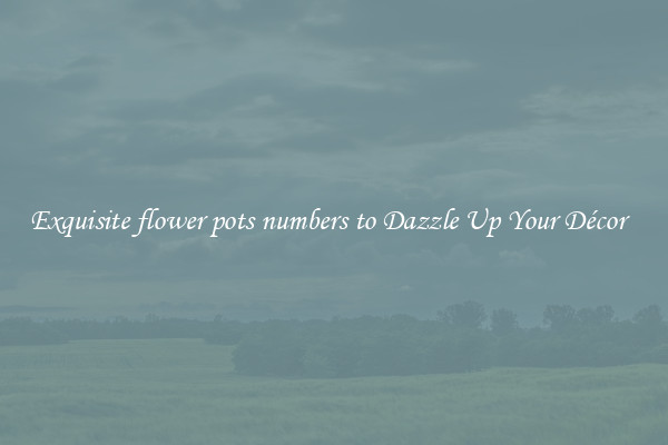 Exquisite flower pots numbers to Dazzle Up Your Décor  