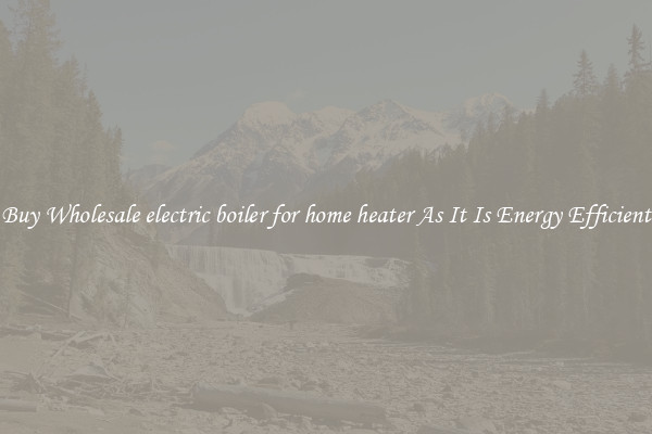 Buy Wholesale electric boiler for home heater As It Is Energy Efficient