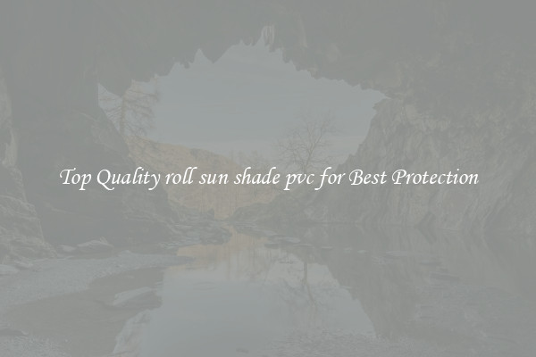 Top Quality roll sun shade pvc for Best Protection