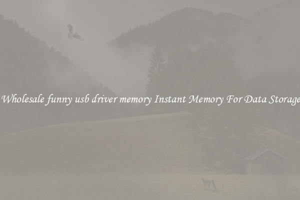 Wholesale funny usb driver memory Instant Memory For Data Storage