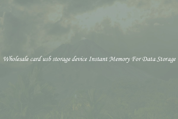 Wholesale card usb storage device Instant Memory For Data Storage