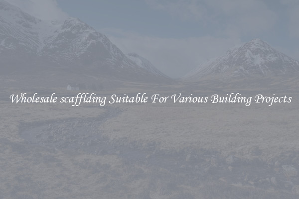 Wholesale scafflding Suitable For Various Building Projects