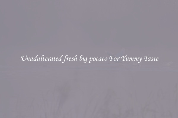 Unadulterated fresh big potato For Yummy Taste