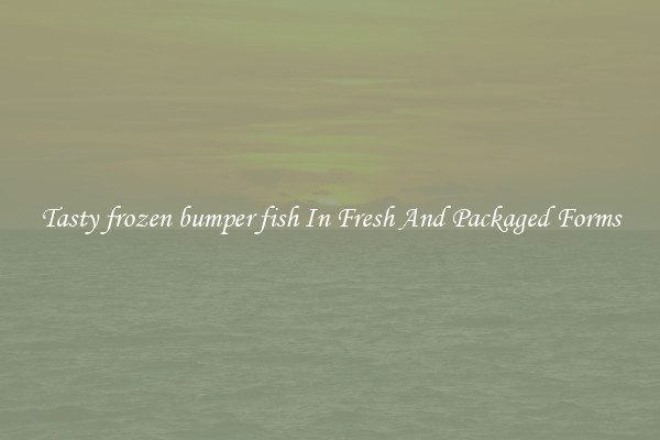 Tasty frozen bumper fish In Fresh And Packaged Forms