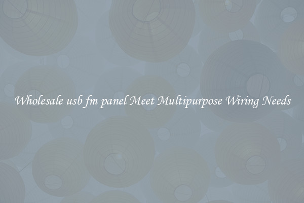 Wholesale usb fm panel Meet Multipurpose Wiring Needs