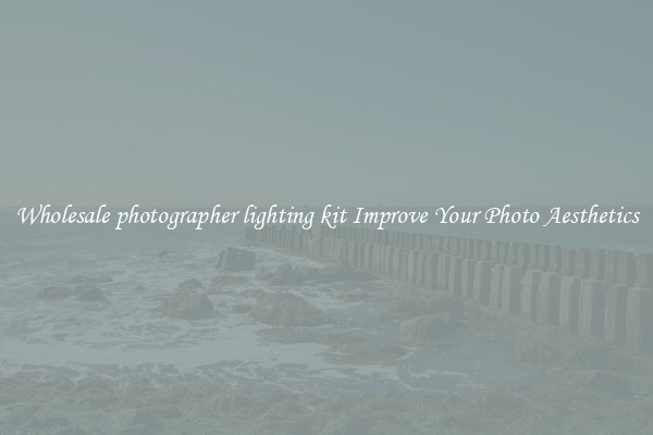 Wholesale photographer lighting kit Improve Your Photo Aesthetics
