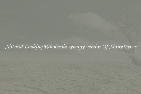 Natural Looking Wholesale synergy vendor Of Many Types