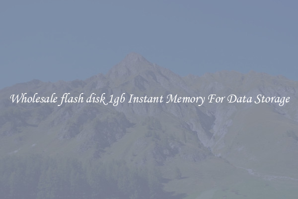 Wholesale flash disk 1gb Instant Memory For Data Storage