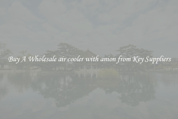 Buy A Wholesale air cooler with anion from Key Suppliers