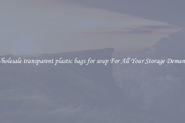 Wholesale transparent plastic bags for soup For All Your Storage Demands
