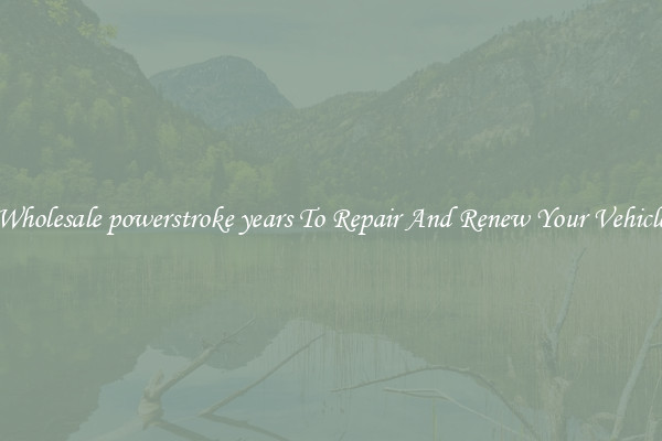 Wholesale powerstroke years To Repair And Renew Your Vehicle