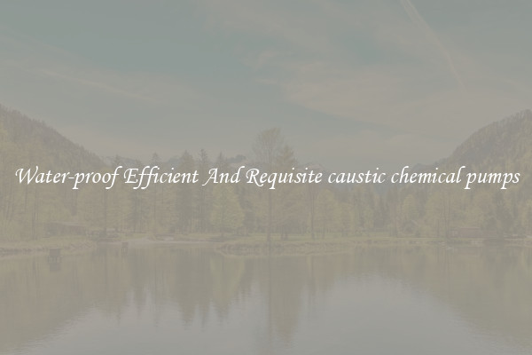 Water-proof Efficient And Requisite caustic chemical pumps