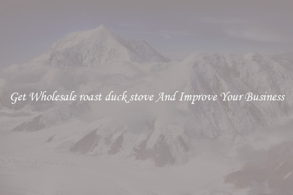Get Wholesale roast duck stove And Improve Your Business