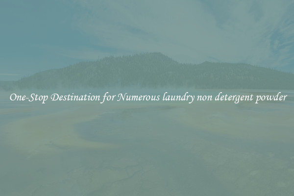 One-Stop Destination for Numerous laundry non detergent powder