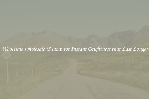 Wholesale wholesale t5 lamp for Instant Brightness that Last Longer