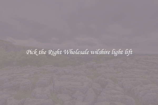 Pick the Right Wholesale wilshire light lift