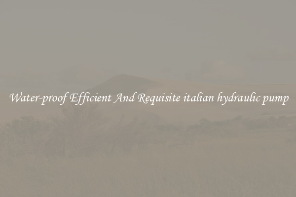 Water-proof Efficient And Requisite italian hydraulic pump