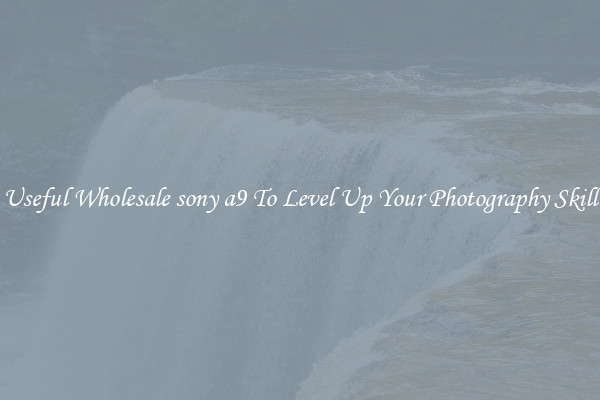 Useful Wholesale sony a9 To Level Up Your Photography Skill
