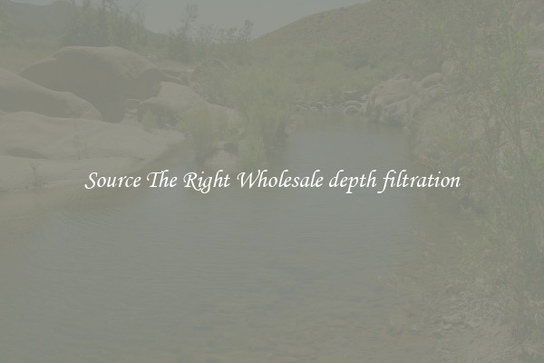 Source The Right Wholesale depth filtration